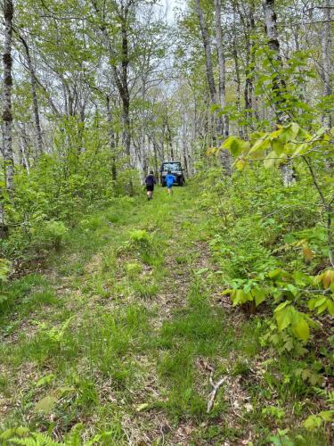 4 counties look-off.4