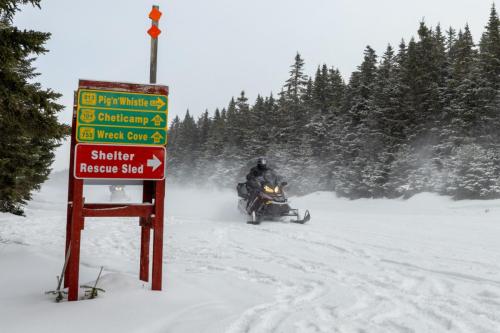 Snowmobile Action Shot